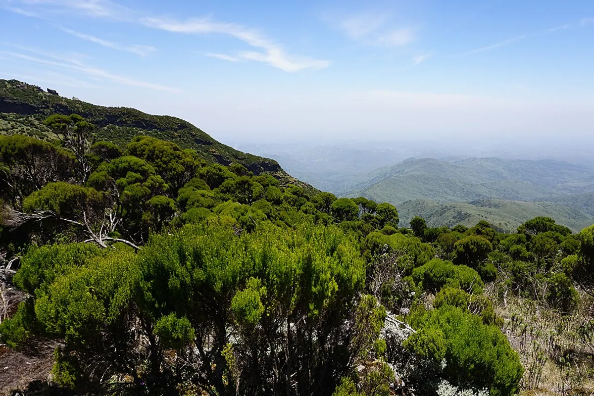 Aberdare Range landscape