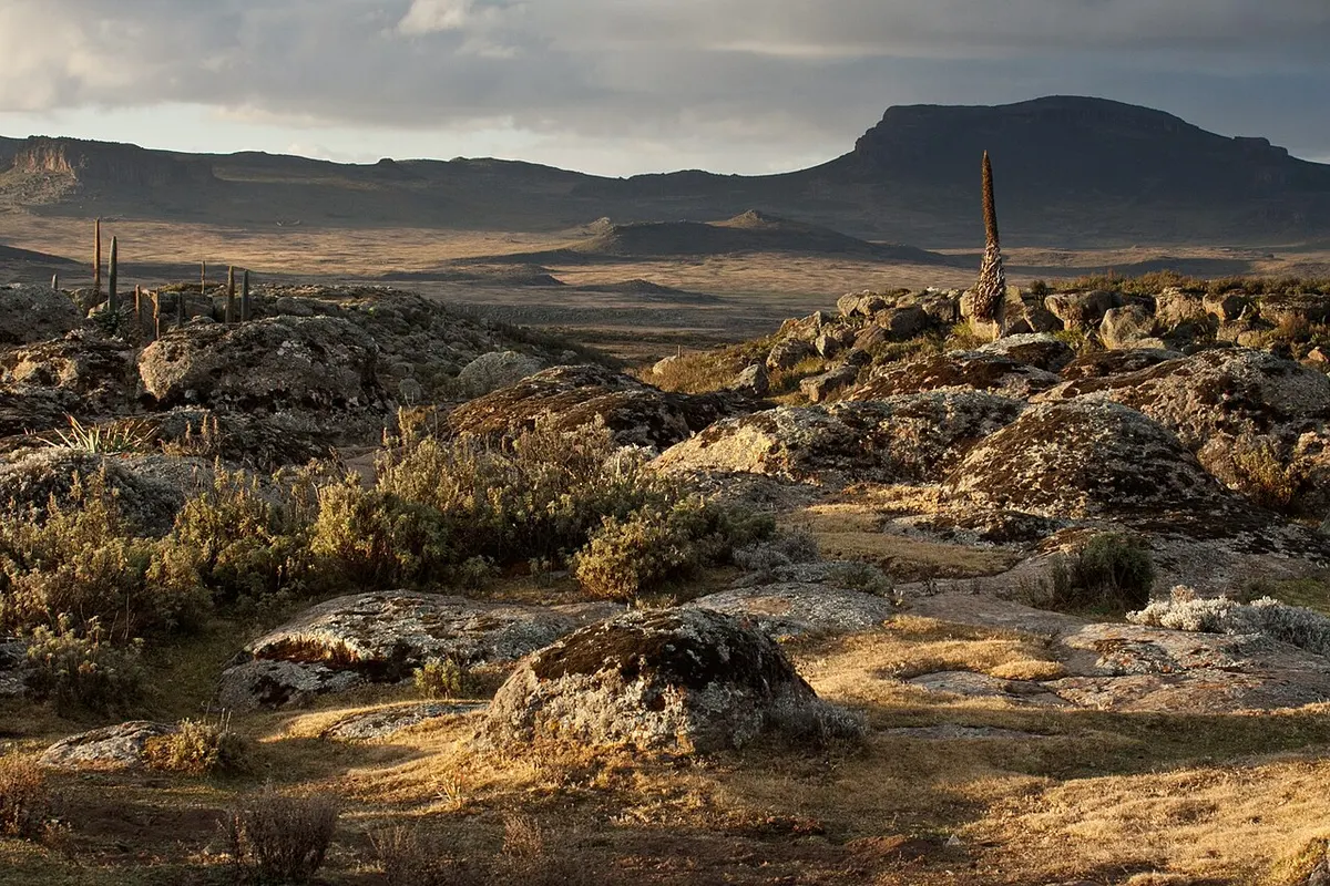 Bale Mountains landscape