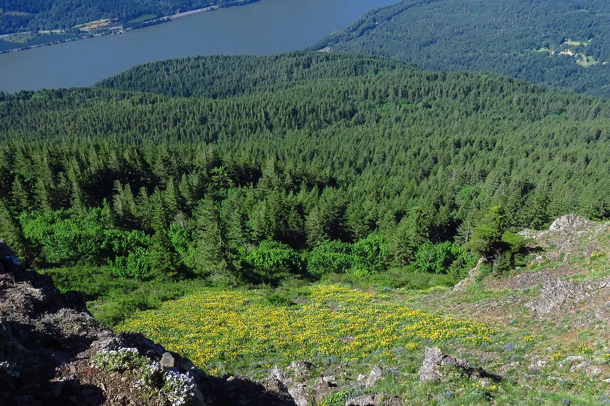 Columbia River Gorge landscape