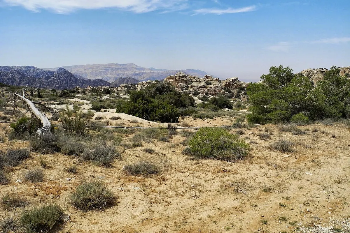 Dana Biosphere Reserve landscape
