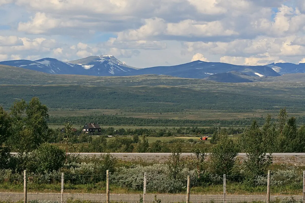 Dovrefjell landscape