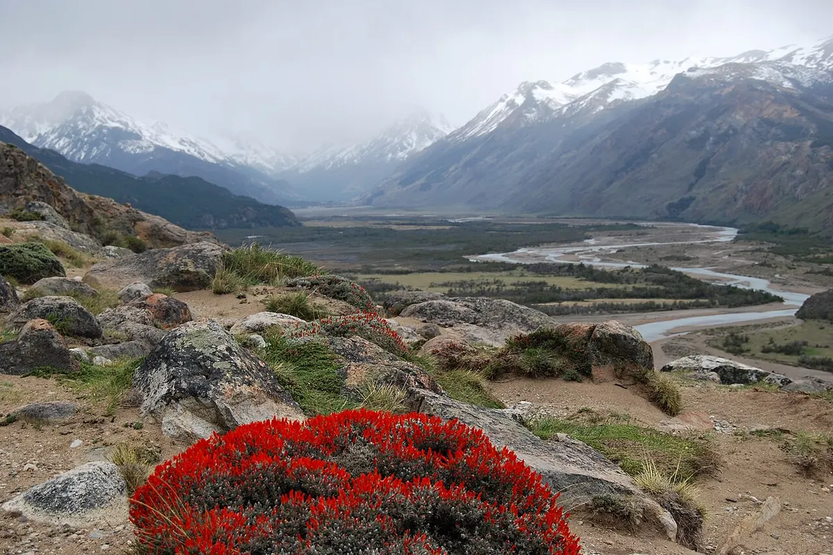 El Chaltén landscape