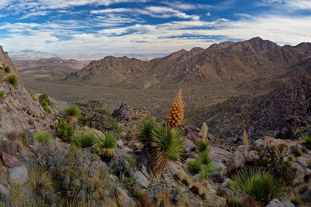 Great Basin landscape