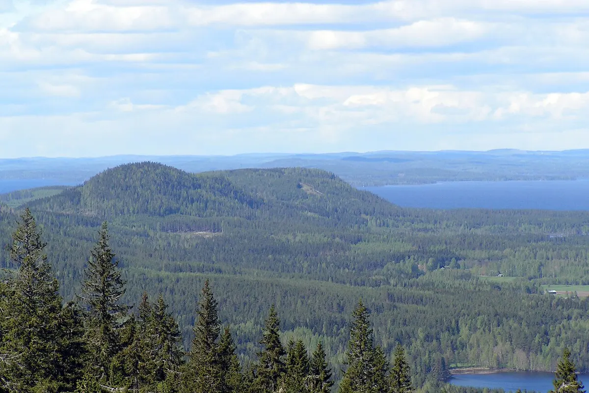 Koli landscape