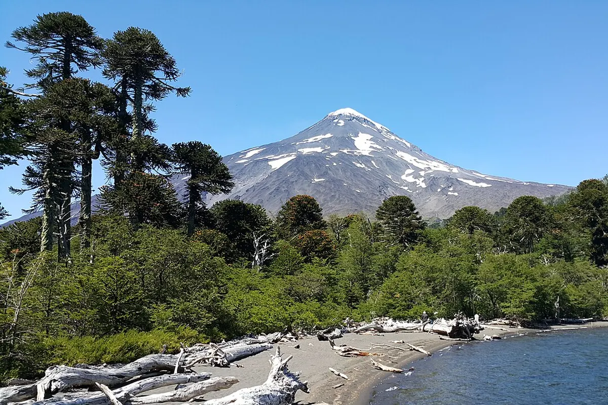 Lanín landscape