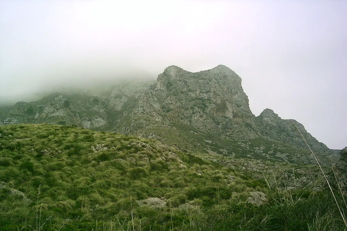 Mallorca landscape