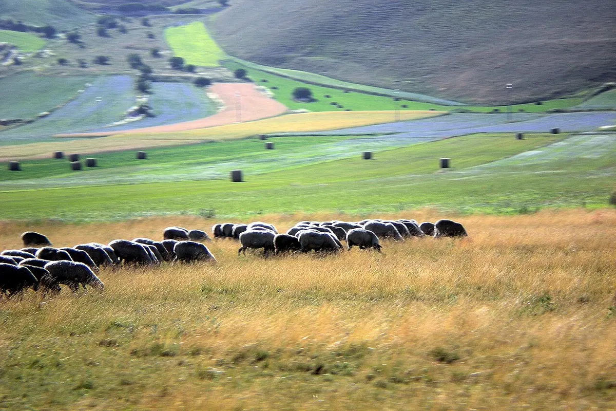 Monti Sibillini landscape