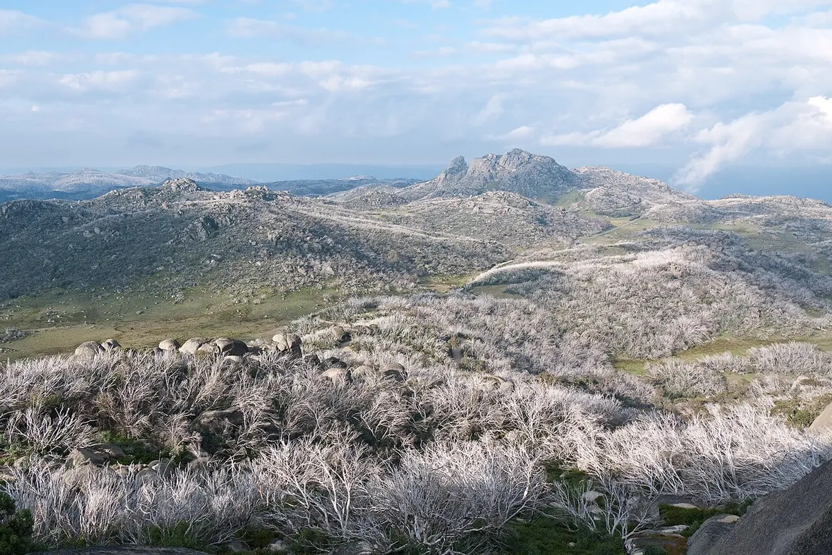 Mount Buffalo landscape