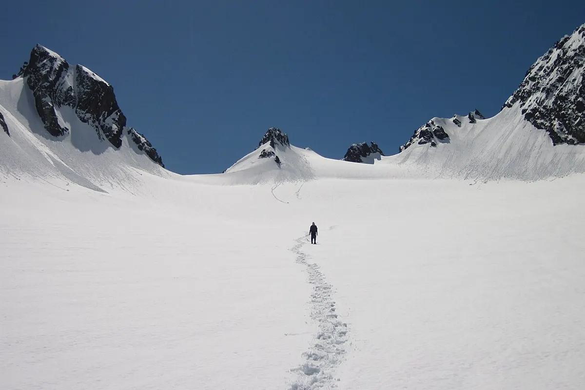 Olympic National Park landscape