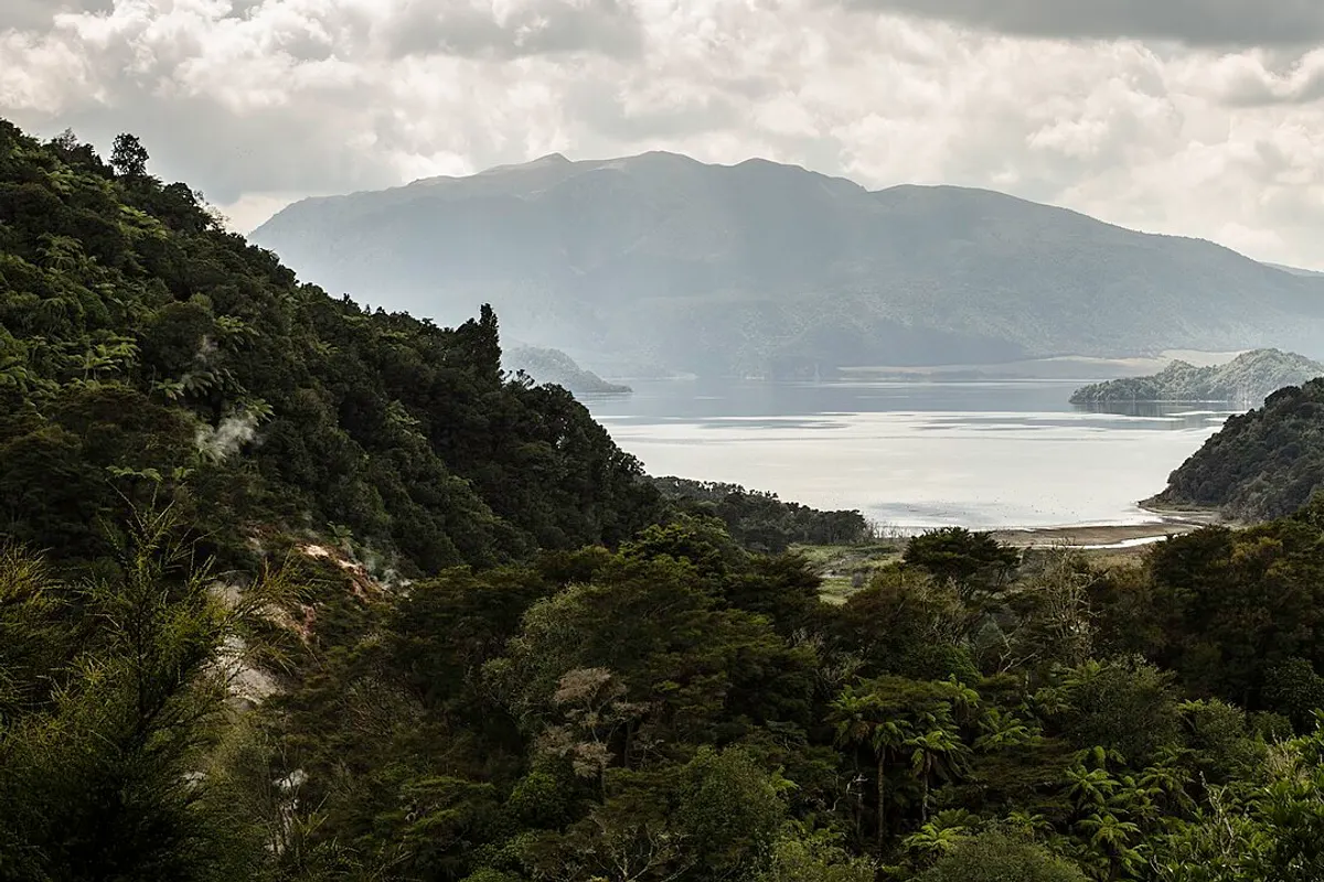 Rotorua landscape