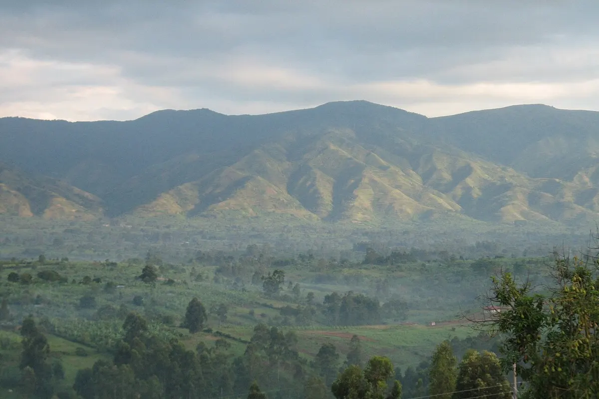 Rwenzori landscape