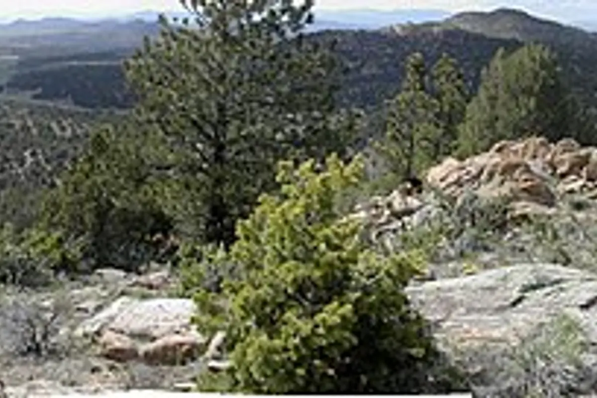 Sangre de Cristo landscape