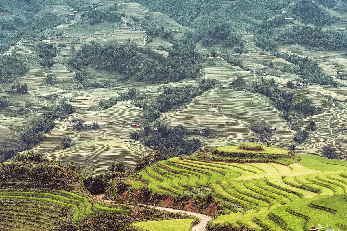 Sapa landscape