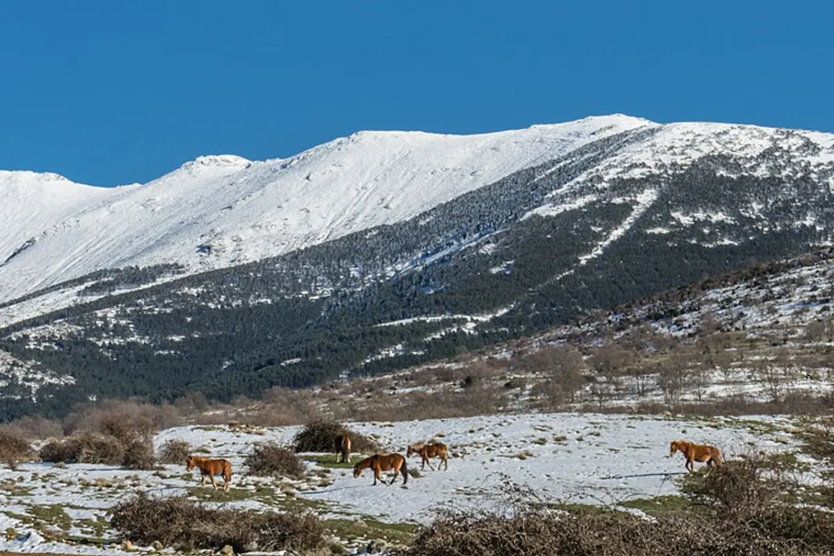 Sierra de Guadarrama landscape