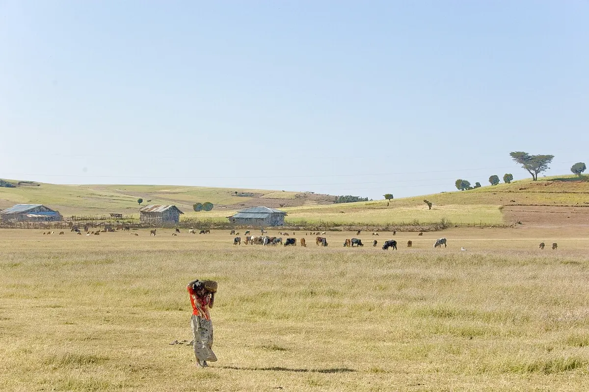 Simien Mountains landscape