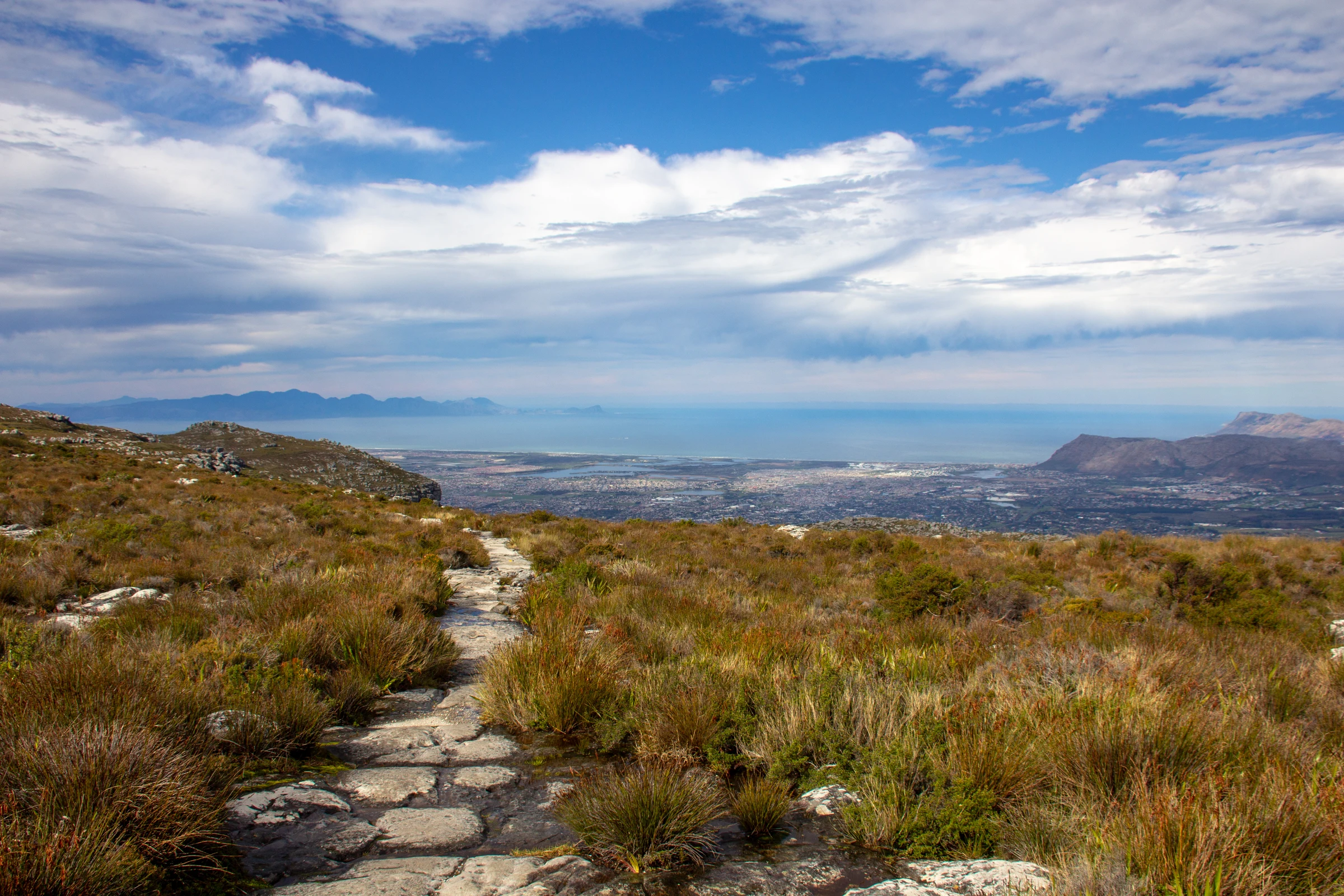 Table Mountain landscape