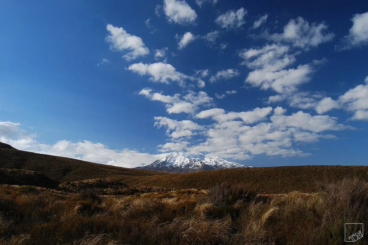 Tongariro landscape