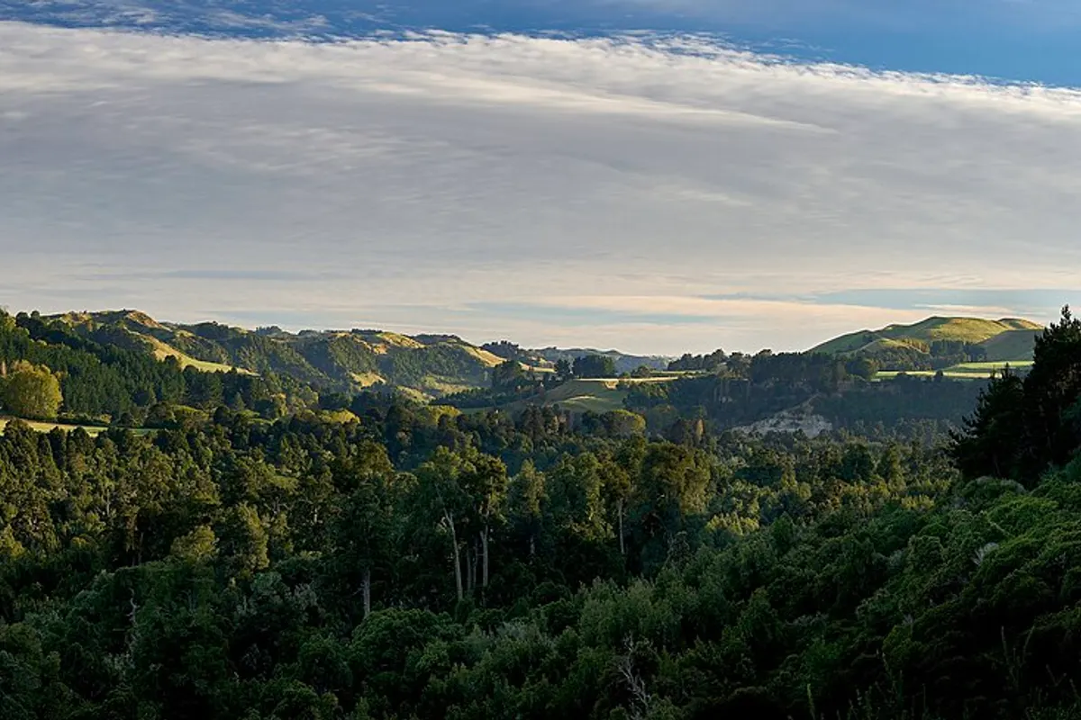 Whanganui landscape