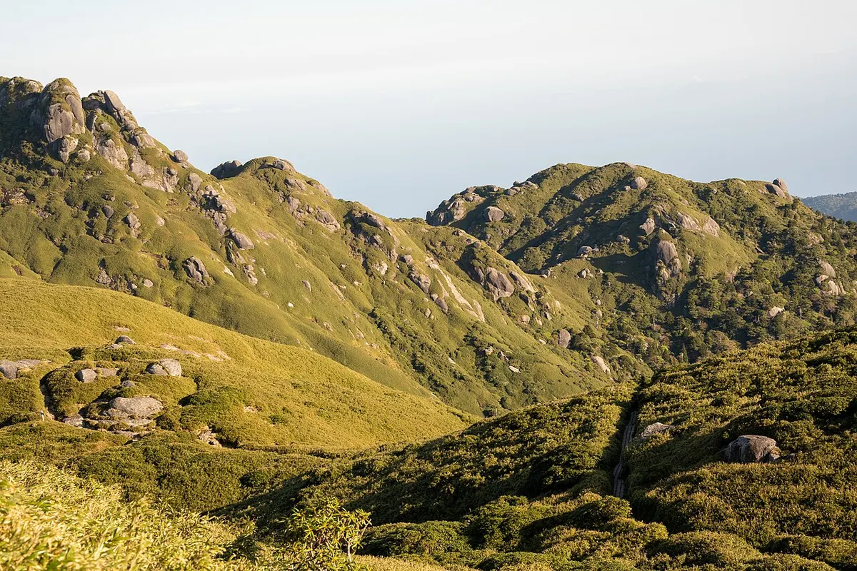 Yakushima landscape